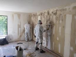 Best Mold Prevention Services  in Clarks Green, PA